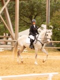 DSC07356 DSC07356