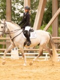 DSC07365 DSC07365