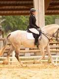 DSC07374 DSC07374