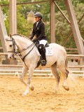 DSC07376 DSC07376