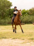 DSC01418 DSC01418