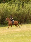 DSC01423 DSC01423