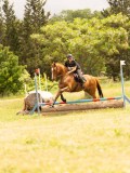 DSC01430 DSC01430