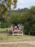 IMG_0410