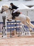 DSC04648 DSC04648