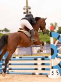 DSC00276 DSC00276