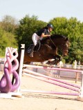 DSC04783 DSC04783