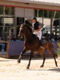 DSC04796 DSC04796
