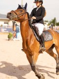 DSC07736 DSC07736