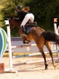 DSC07739 DSC07739