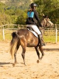 DSC02388 DSC02388