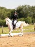 DSC02494 DSC02494