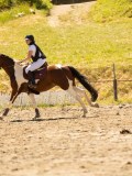 DSC07166 DSC07166