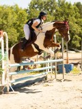 DSC07169 DSC07169