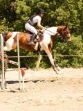 DSC07173 DSC07173
