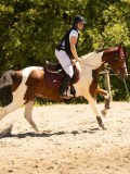 DSC07174 DSC07174