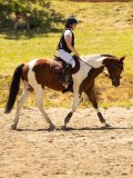 DSC07175 DSC07175