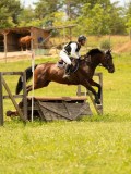 DSC00186 DSC00186