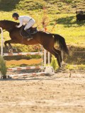 DSC08236 DSC08236