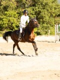 DSC08239 DSC08239