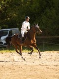 DSC08241 DSC08241