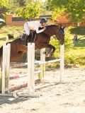 DSC08243 DSC08243