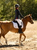 DSC05767 DSC05767