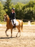 DSC05768 DSC05768