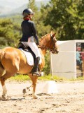 DSC05774 DSC05774