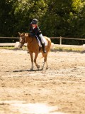 DSC05791 DSC05791