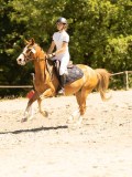 DSC07473 DSC07473