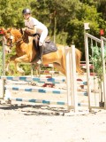 DSC07474 DSC07474