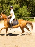 DSC07475 DSC07475