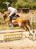DSC07476 DSC07476