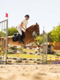 DSC07478 DSC07478