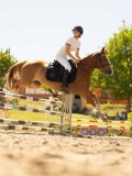 DSC07479 DSC07479