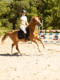 DSC07480 DSC07480