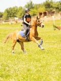 DSC09544 DSC09544