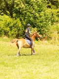 DSC09549 DSC09549