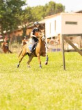 DSC09554 DSC09554
