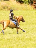 DSC09558 DSC09558