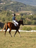 DSC05510 DSC05510