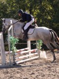 DSC03184 DSC03184