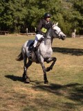 DSC04584 DSC04584