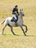 DSC06493 DSC06493