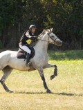 DSC06495 DSC06495
