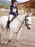 DSC02375 DSC02375