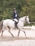 DSC02380 DSC02380