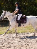 DSC03740 DSC03740