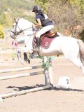 DSC03743 DSC03743